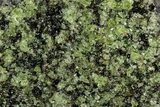 Peridot Crystals in Basalt - Arizona #340228-1